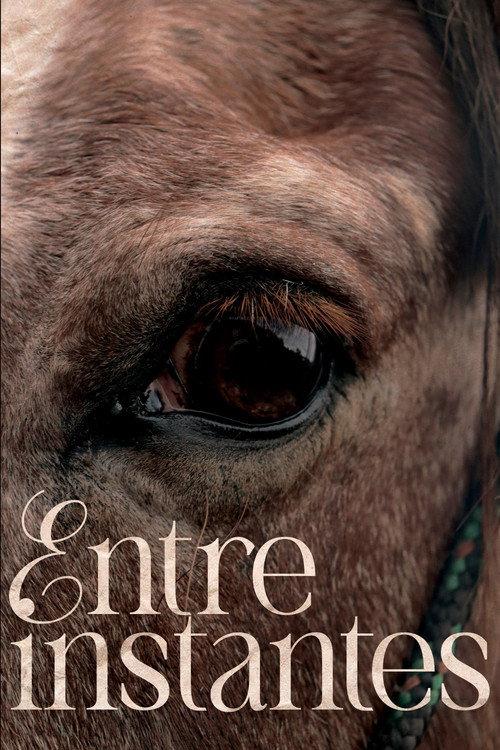 Entre Instantes