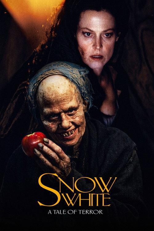 Śnieżka dla dorosłych