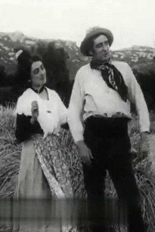Le Gardian de la Camargue
