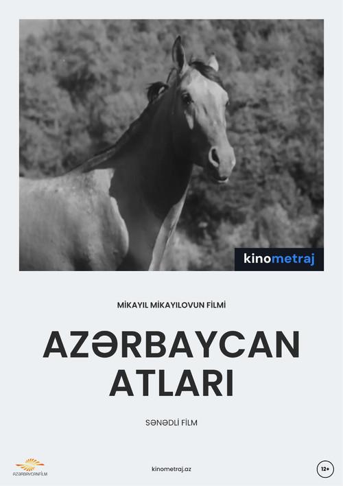 Azərbaycan atları