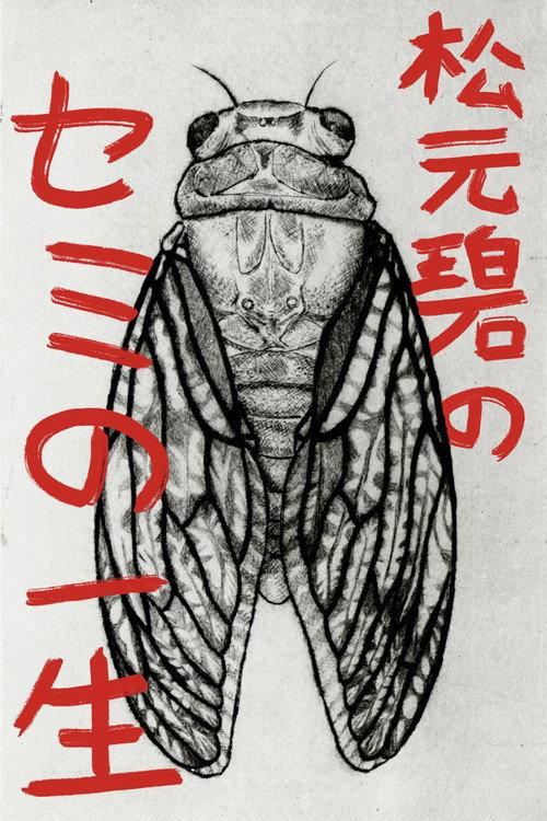 松元碧のセミの一生
