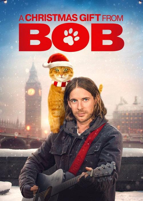 Świąteczny prezent od kota Boba