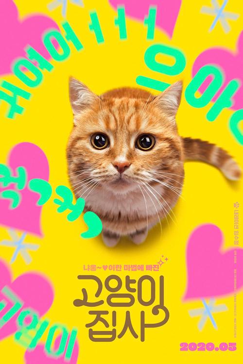 고양이 집사