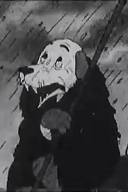 Շունն ու կատուն