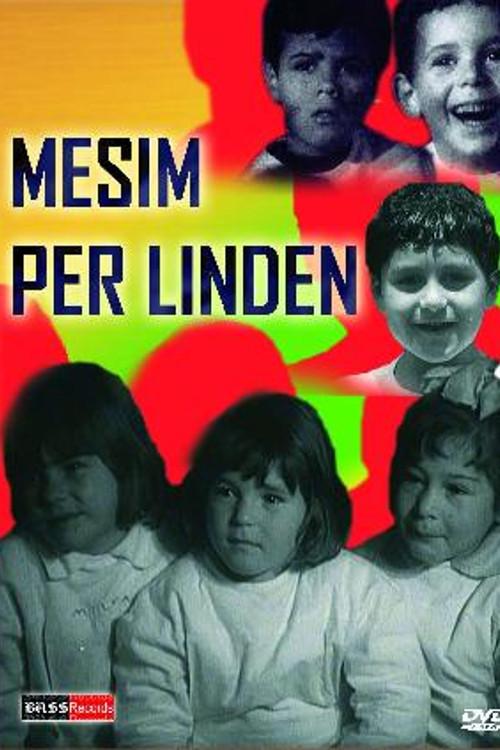 Lekcja dla Lindy