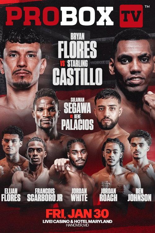 Bryan Flores vs. Starling Castillo