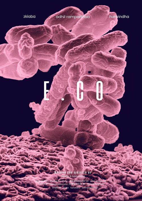 e. co