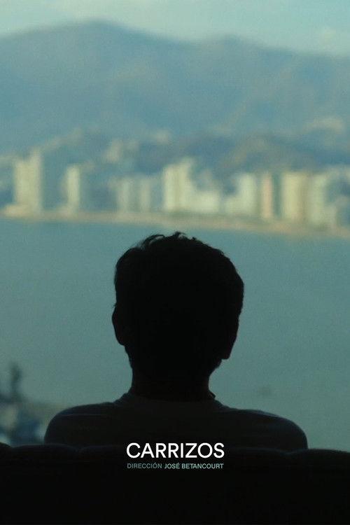 Carrizos