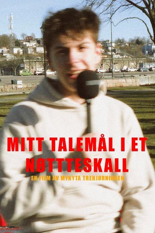Mitt talespråk i et nøtteskall