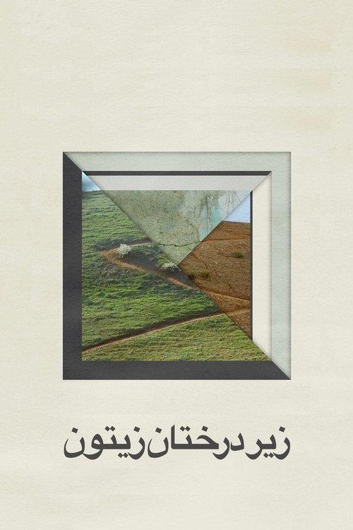 زیر درختان زیتون