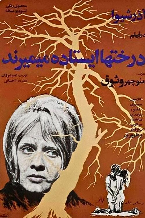 درختان ایستاده میمیرند