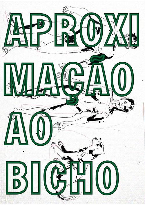 Aproximação ao Bicho