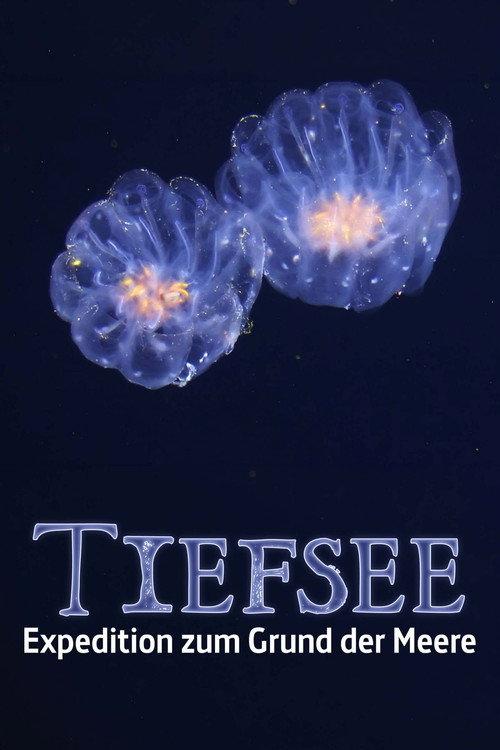 Faszination Tiefsee - Expedition zum Grund der Meere