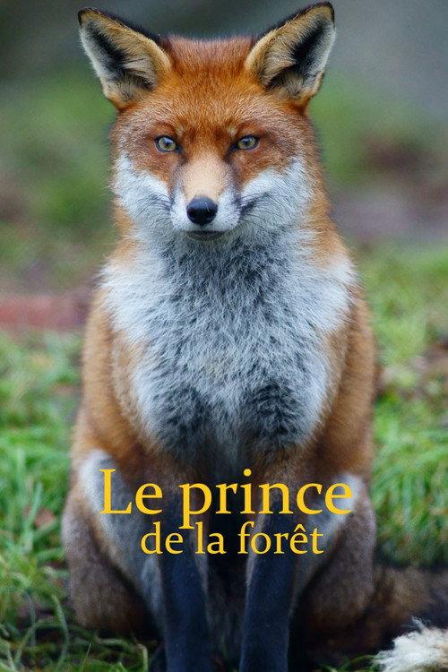 Le Prince de la forêt