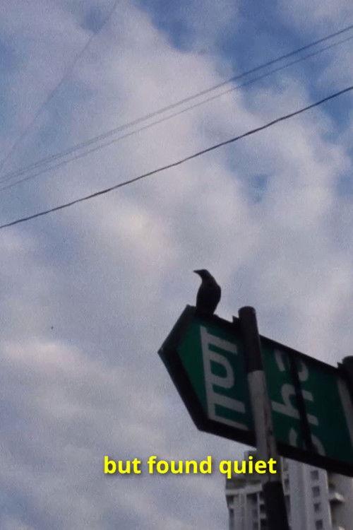 Why Do I Keep Looking at Myself?