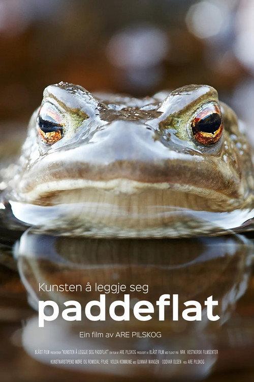 Kunsten å leggje seg paddeflat