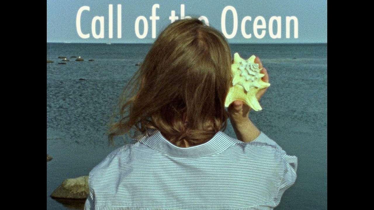 Call of the Ocean