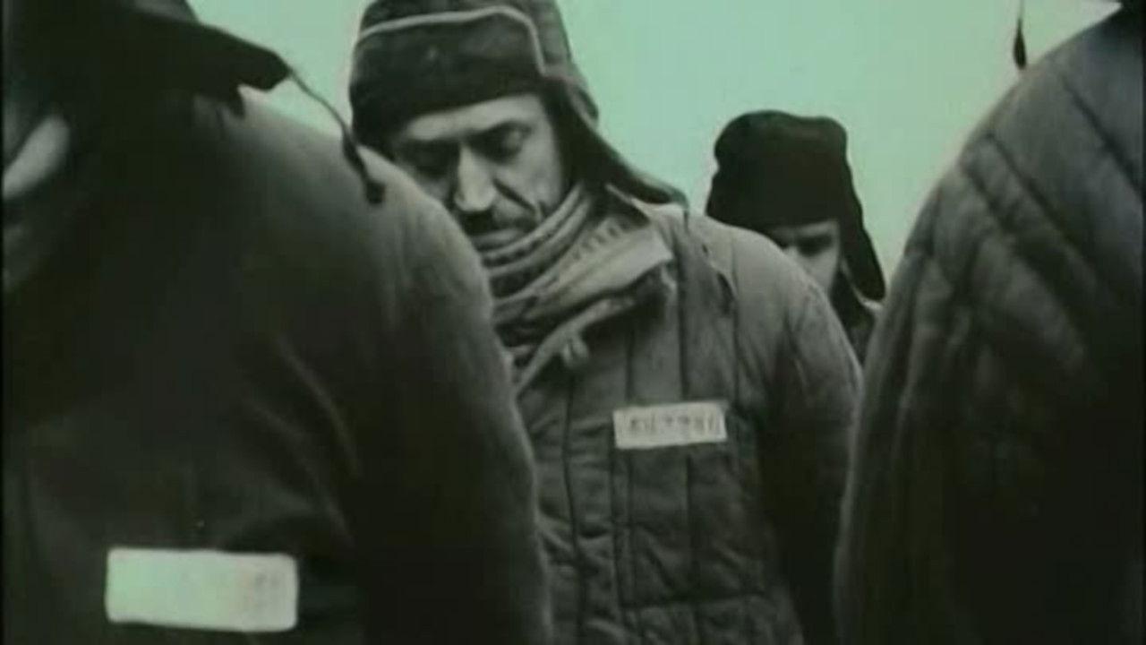 Верный Руслан (История караульной собаки)