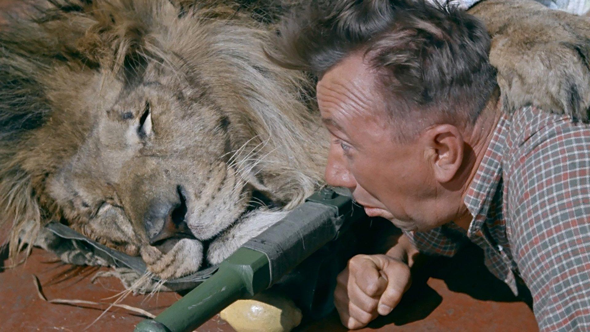 Tygrysy na pokładzie