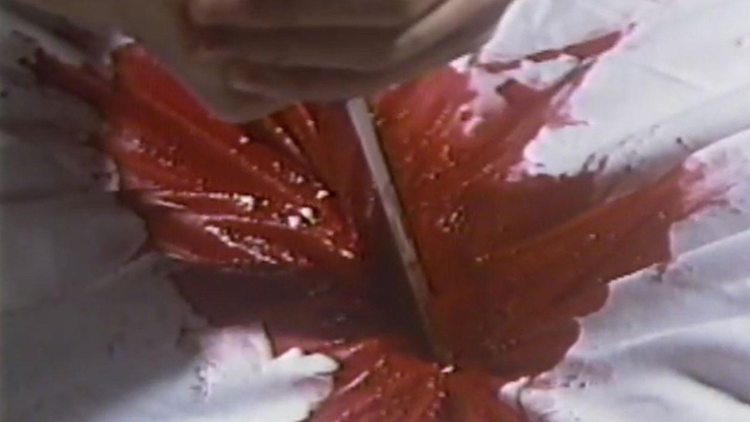 熱くなるまで待てない 沢木夕子