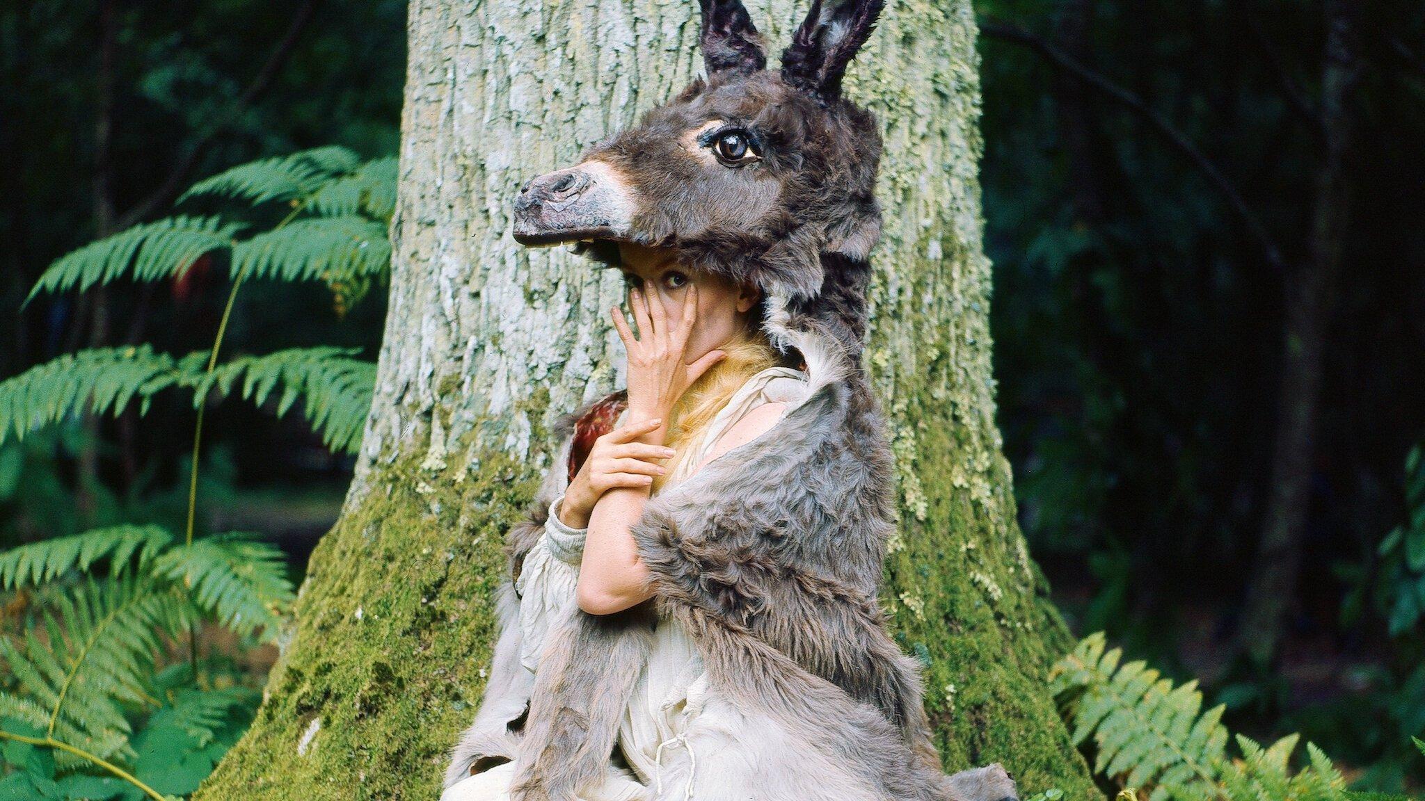 Królewna w oślej skórze