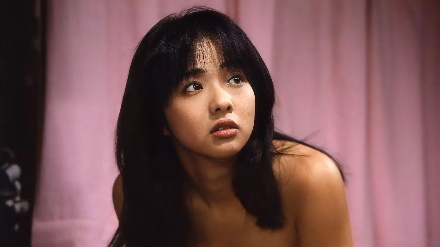 ピンクのカーテン3