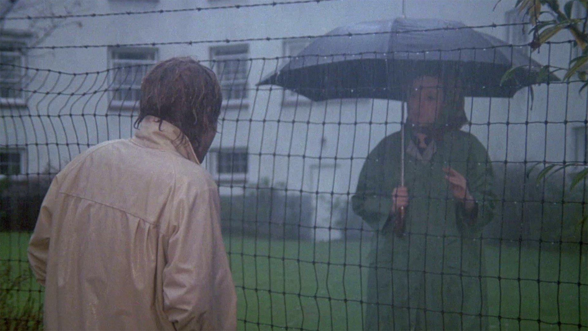 Ów chłodny dzień w parku