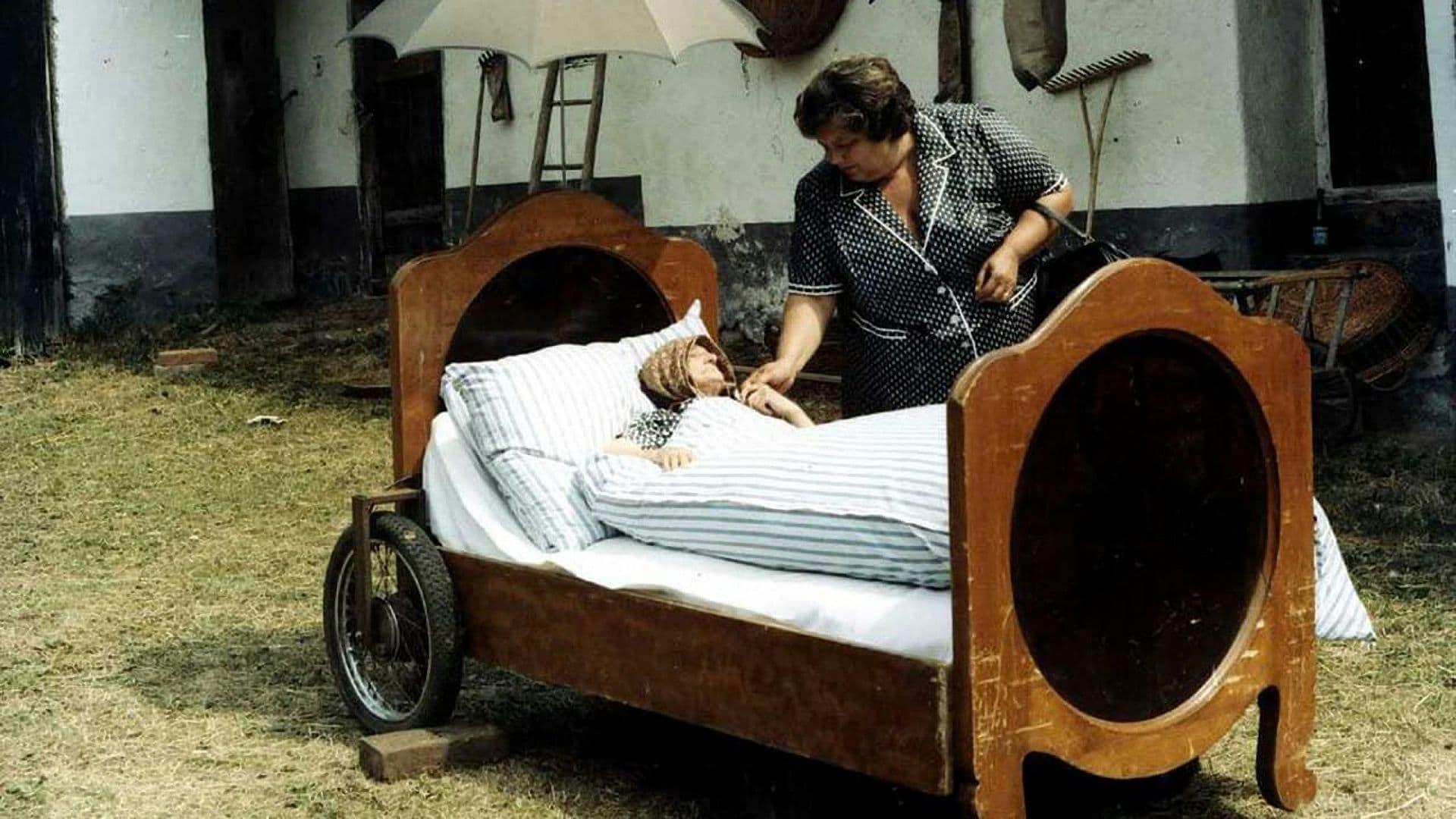 Słońce, siano, truskawki