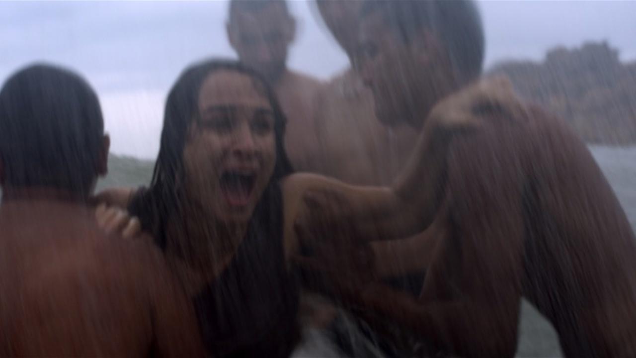 قنديل البحر