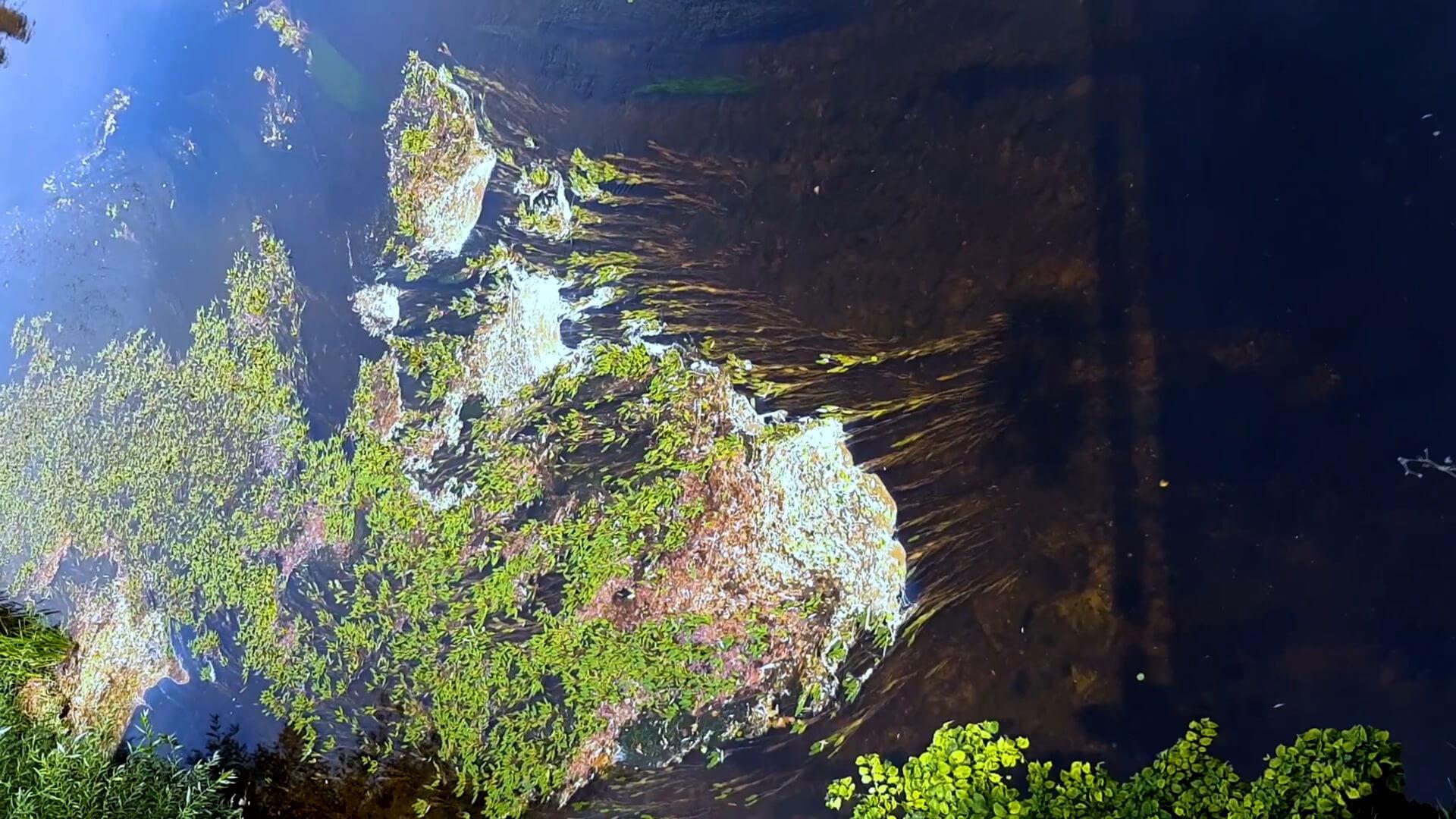 Medzi doľinami, medzi vŕški. Po stopách budúceho zvuku Slovenska.