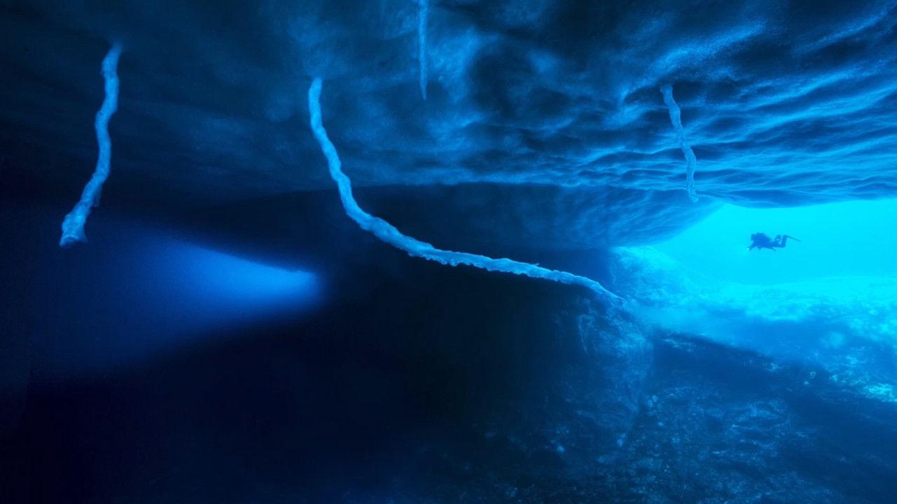 Antarctica, sur les traces de l'empereur