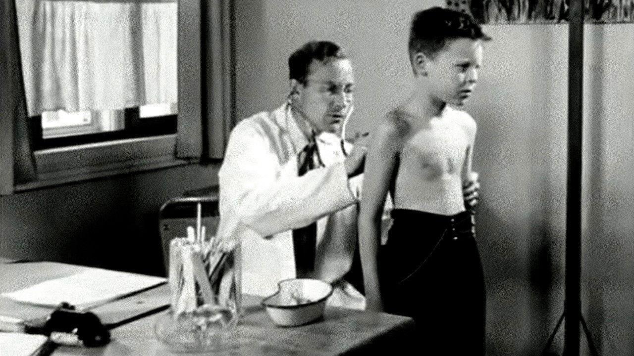 Oslofilm: Sommerparadiset