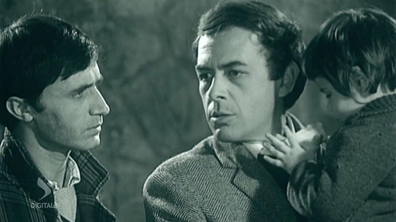 Uliczki, które szukają słońca