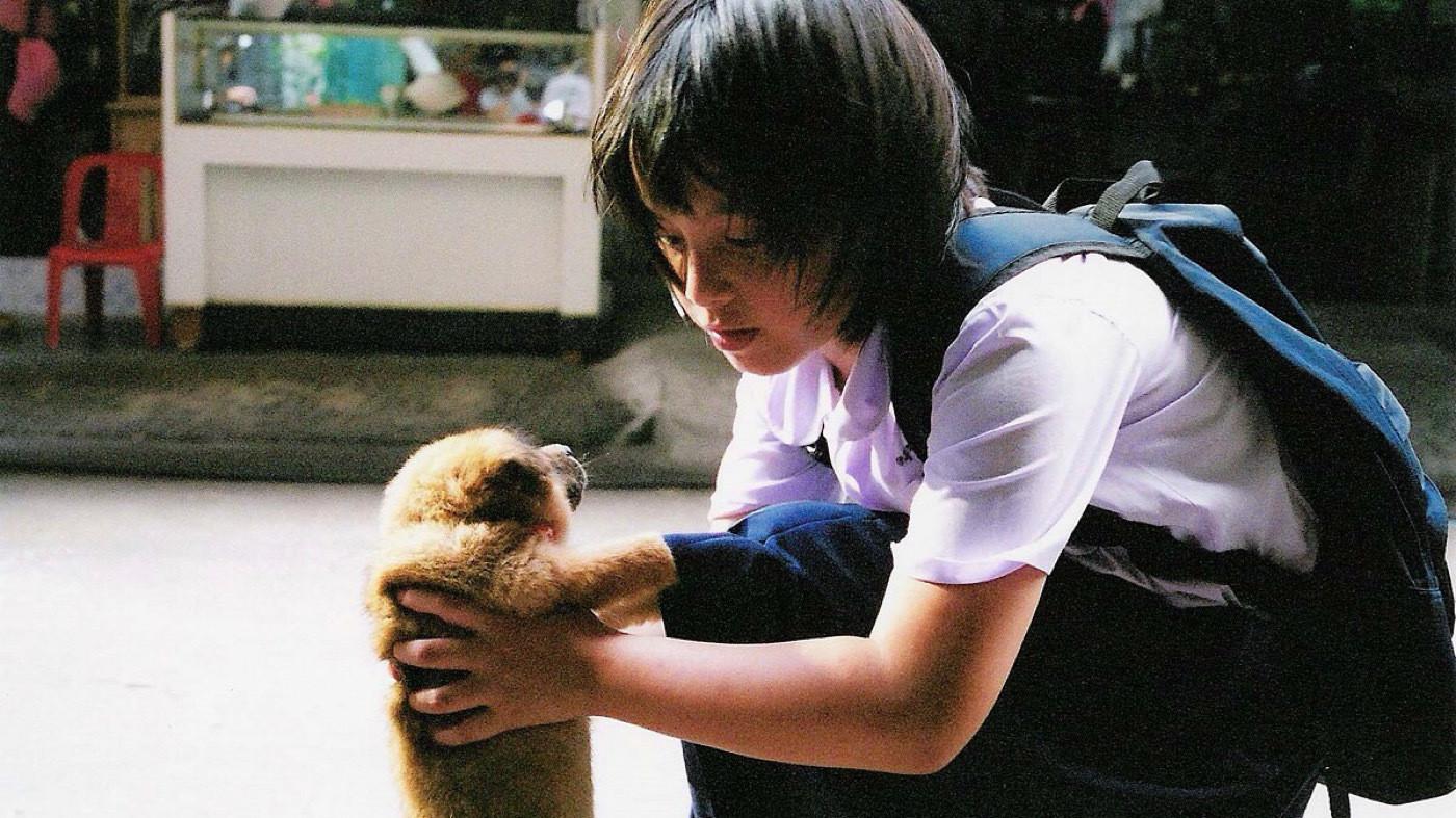 ข้าวเหนียวหมูปิ้ง