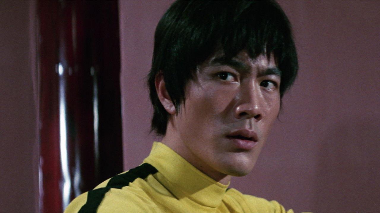 Bruce Lee: Ostatni pojedynek