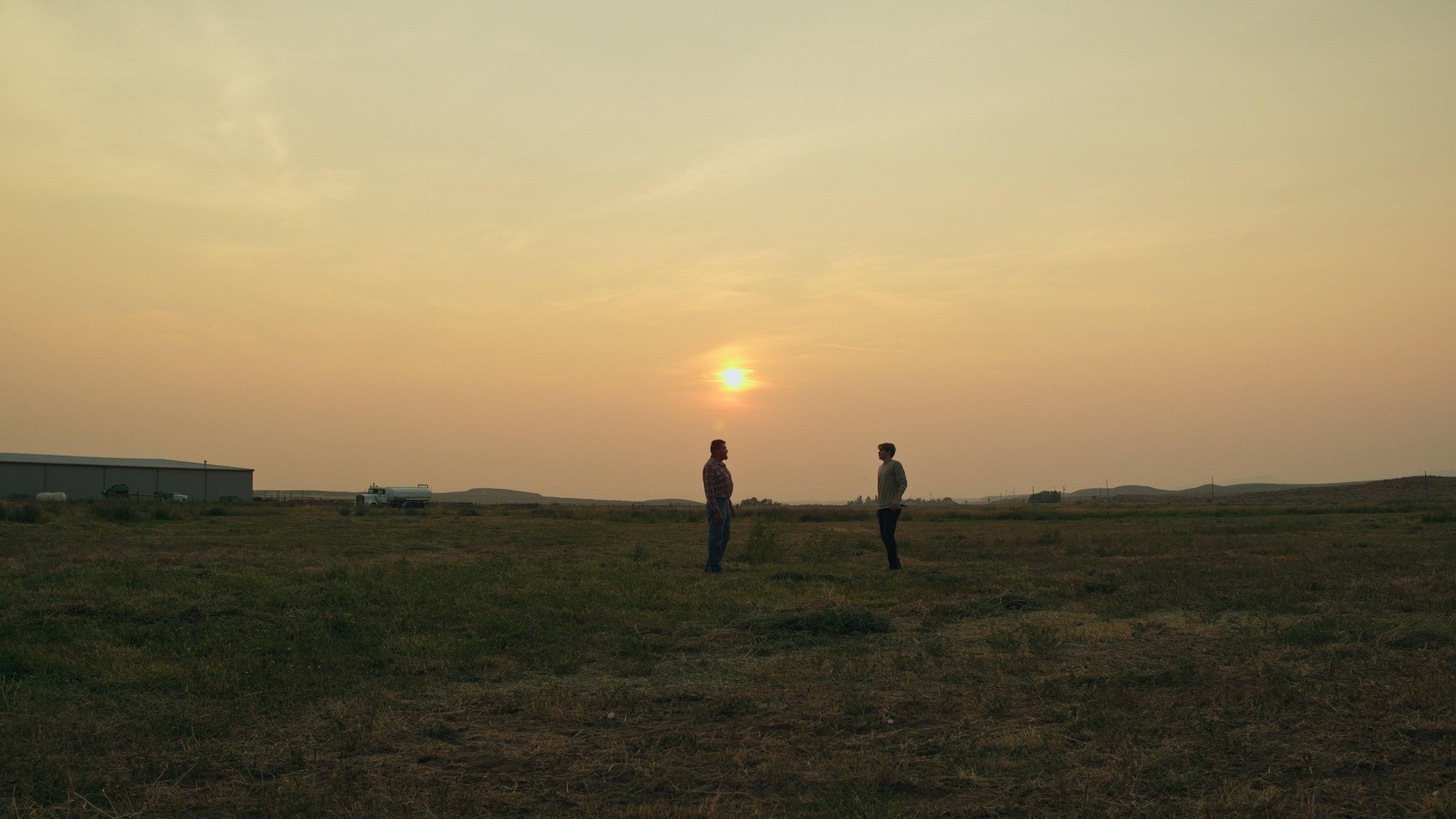The Summer Field