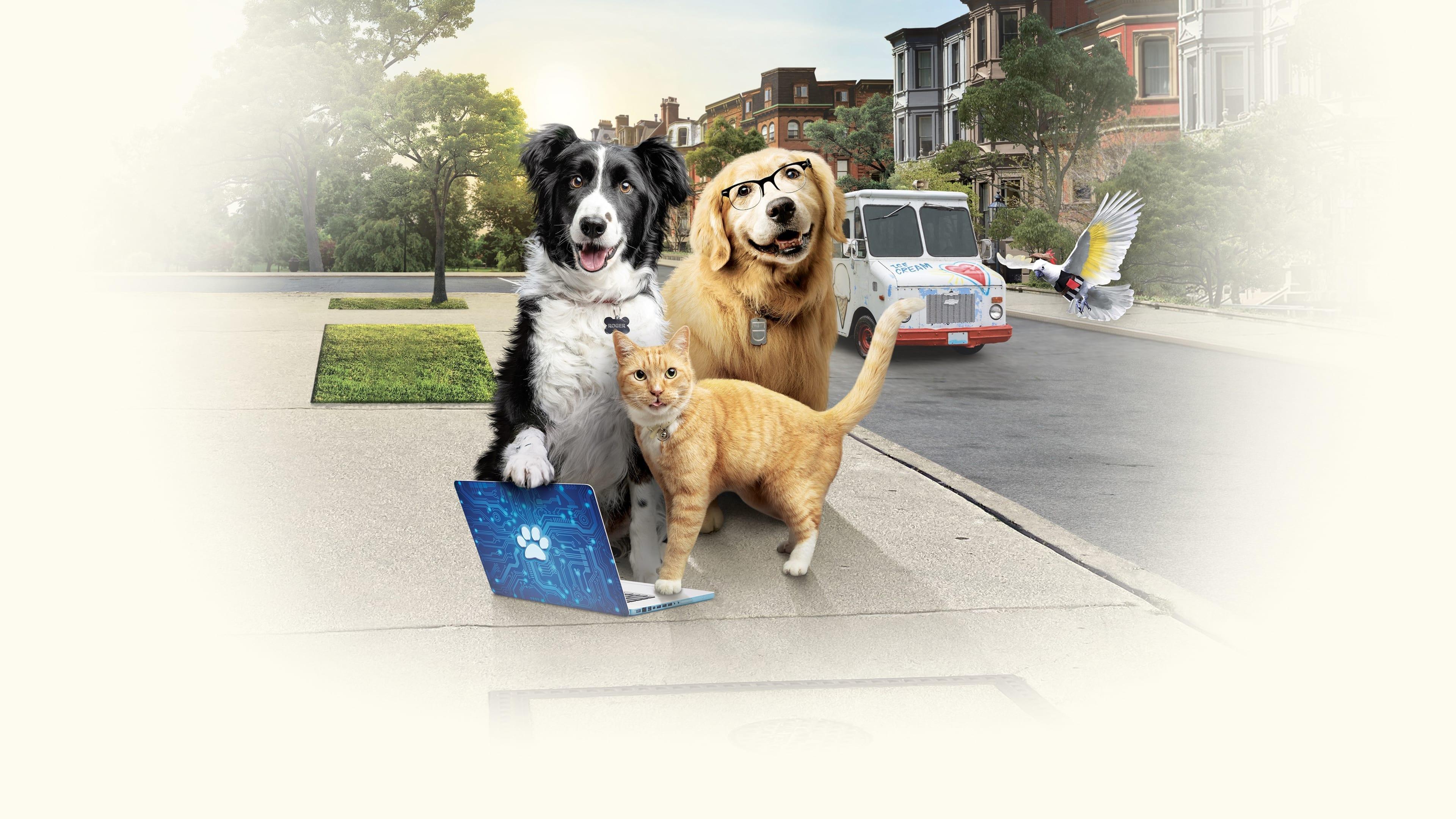 Psy i koty 3: Łapa w łapę