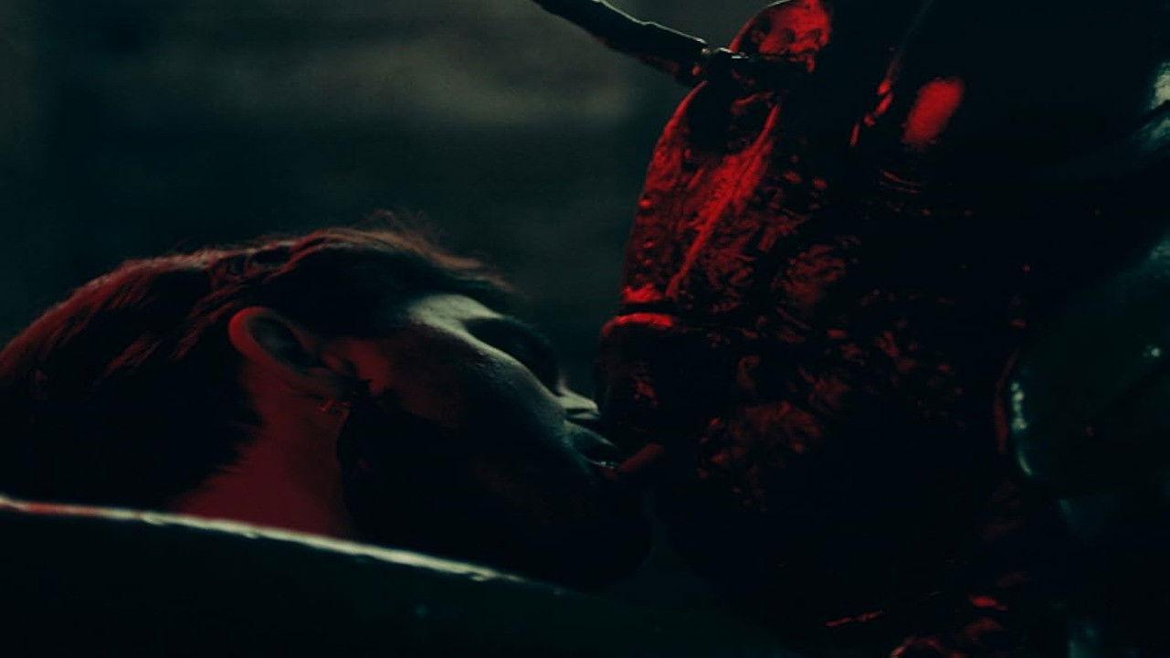 Der Kuss des Grashüpfers