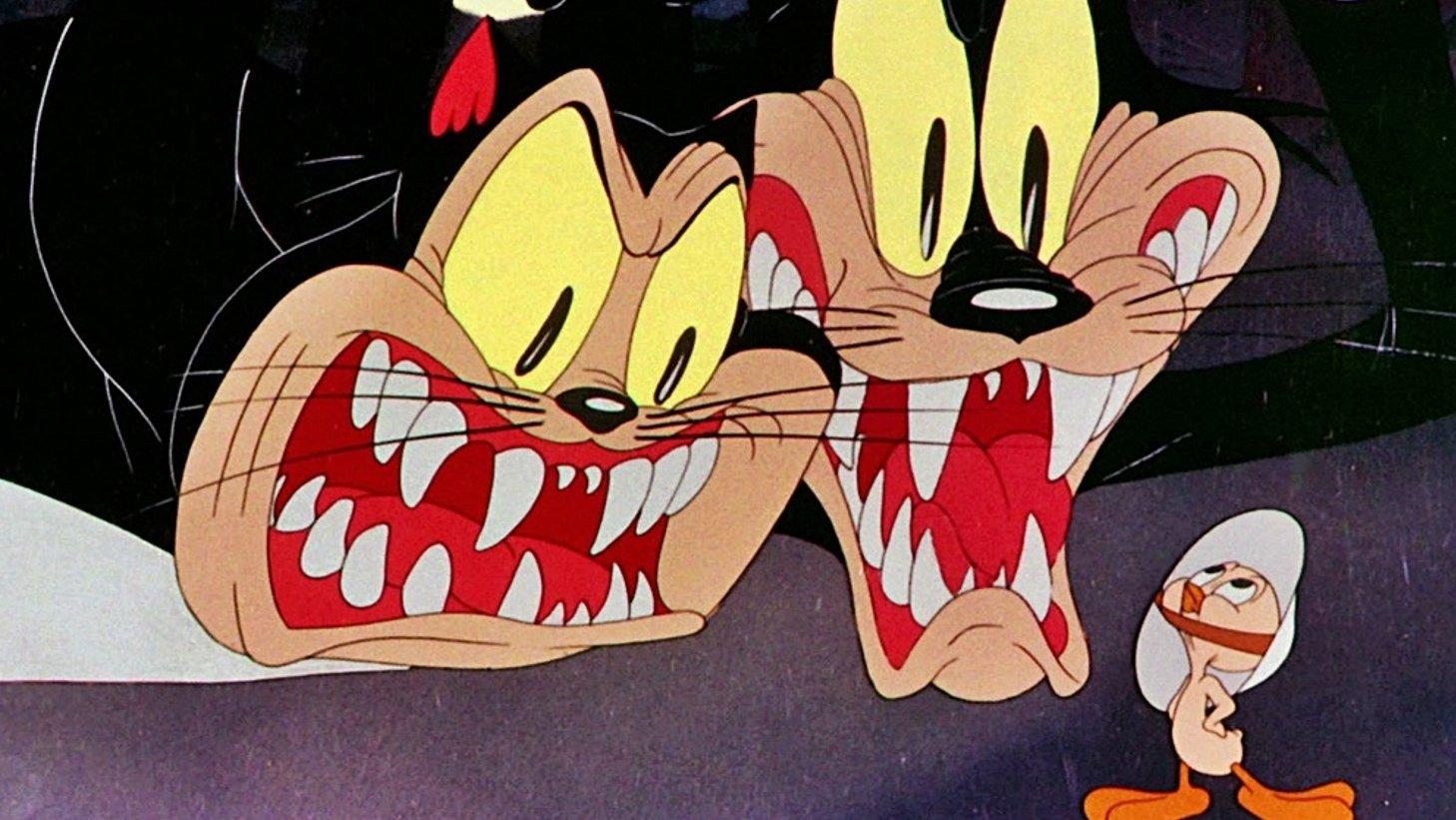 Opowieść o dwóch kotach