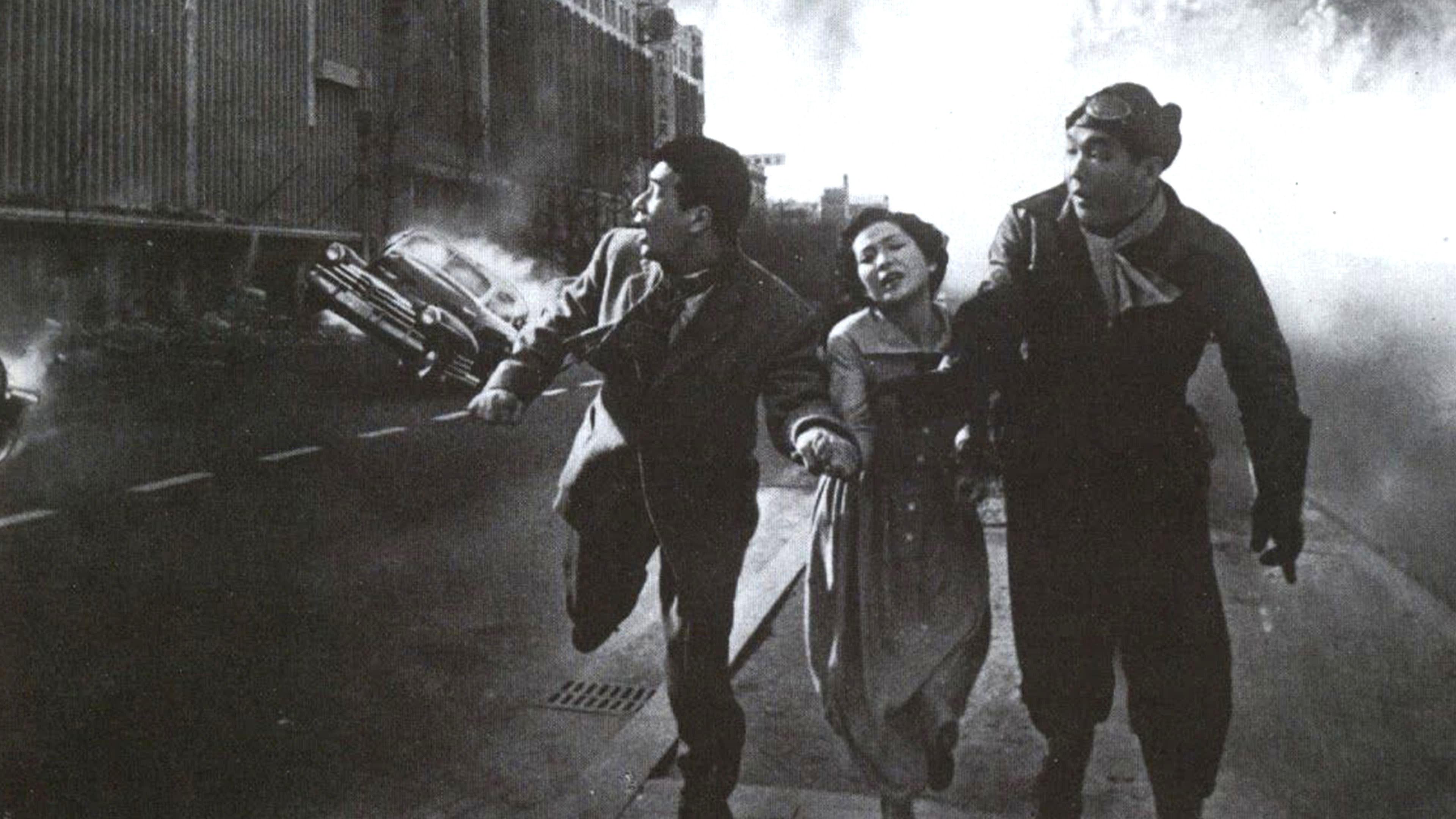 Godzilla kontratakuje