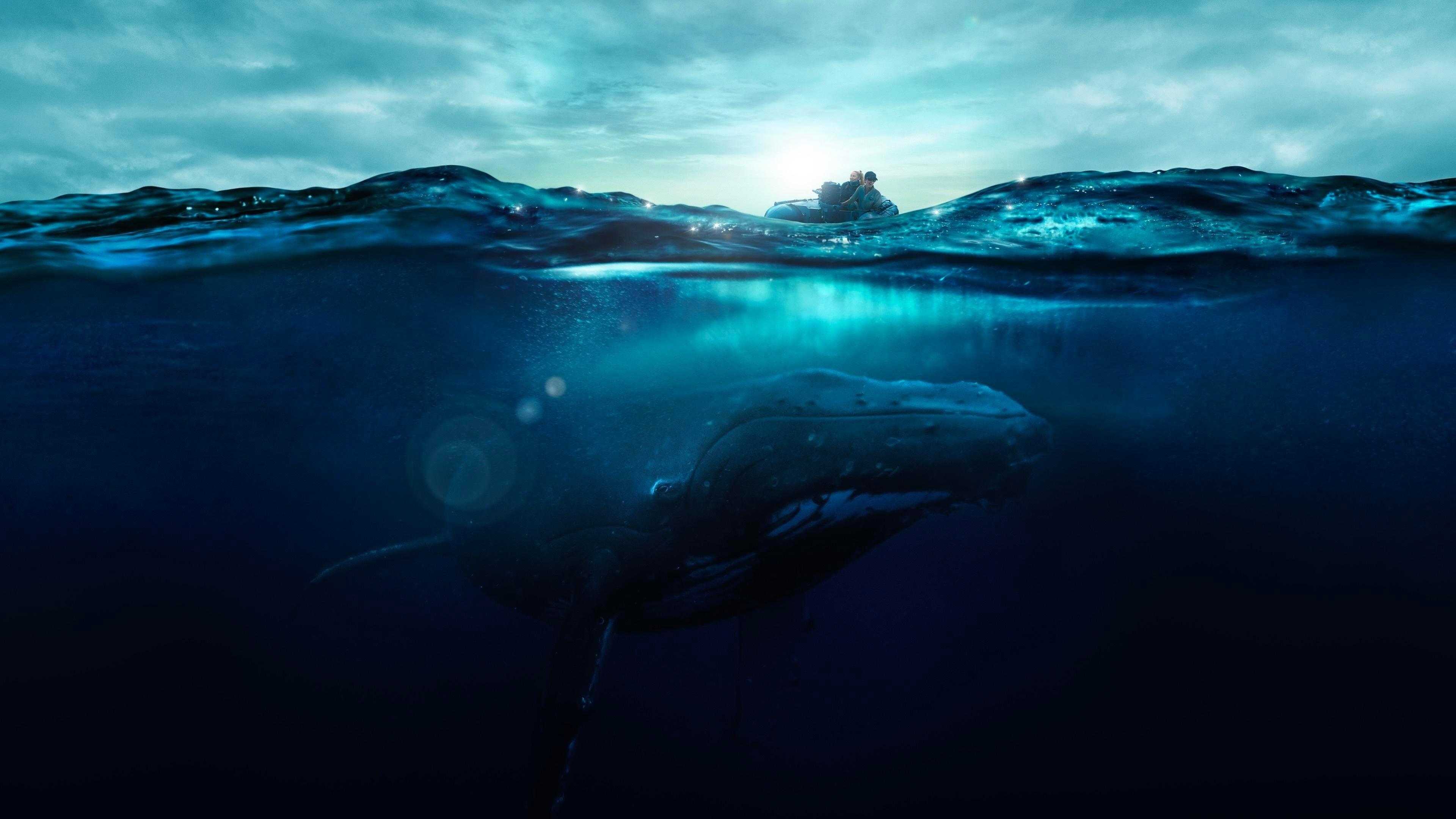 Zgłębiając tajemnice nauki