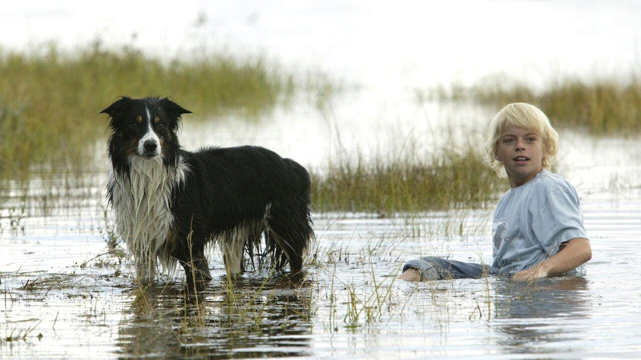 Przyjaciele na śmierć i życie