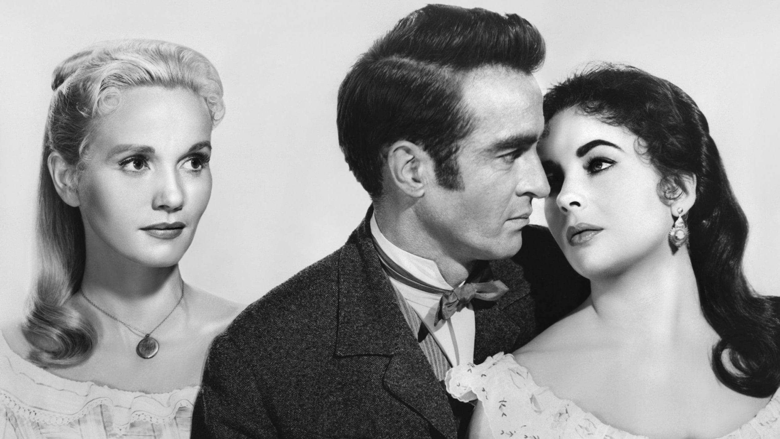 W poszukiwaniu deszczowego drzewa