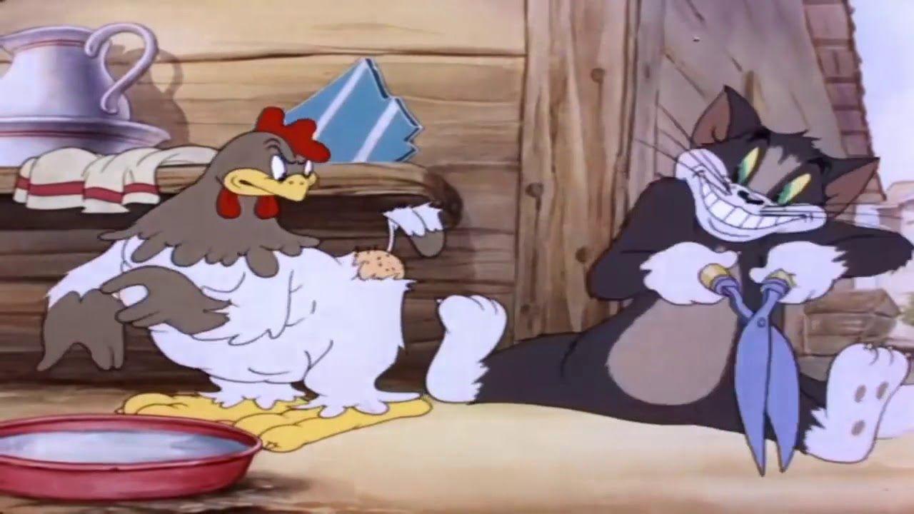 Pierzasty przyjaciel