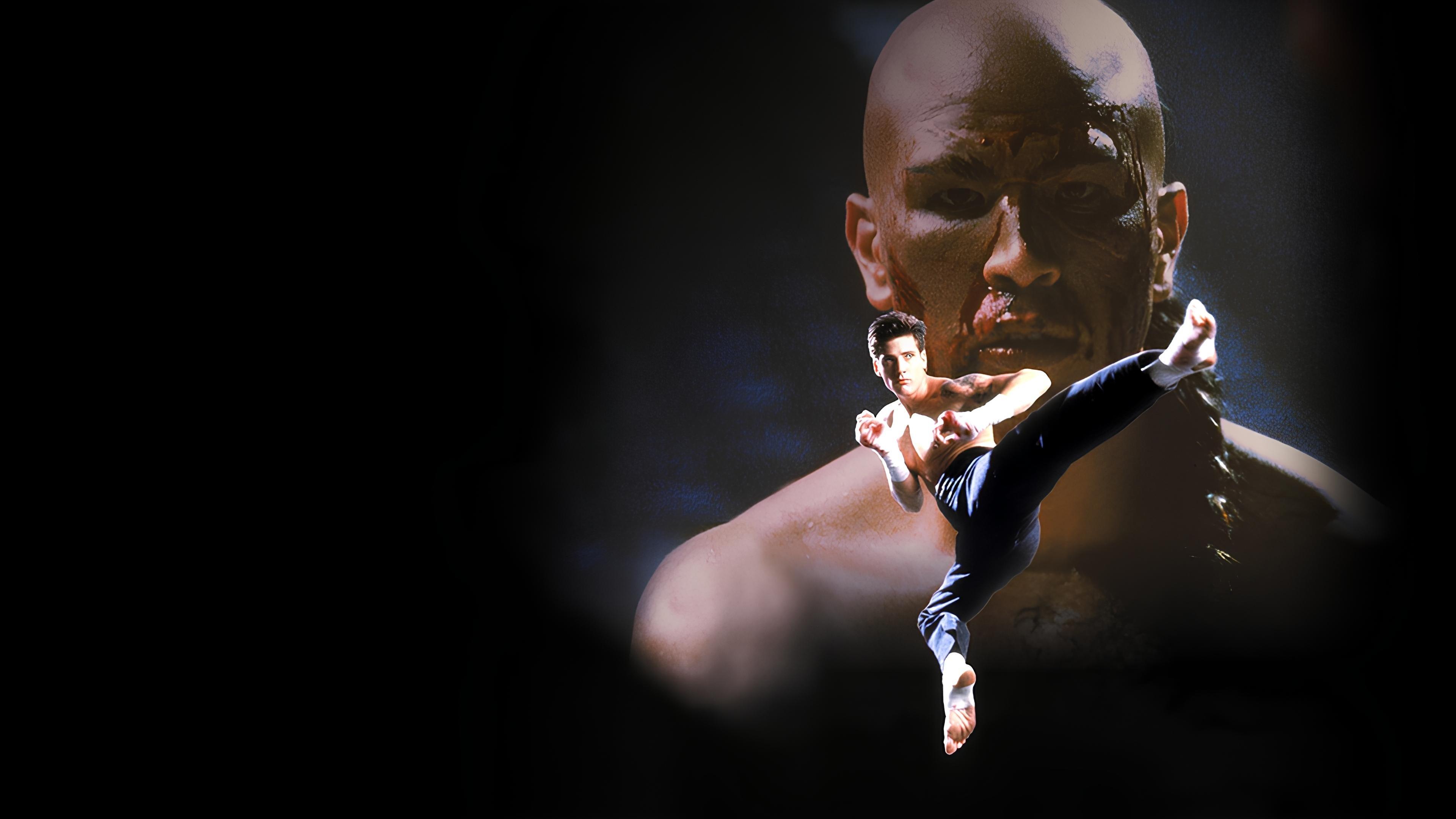 Kickboxer 4