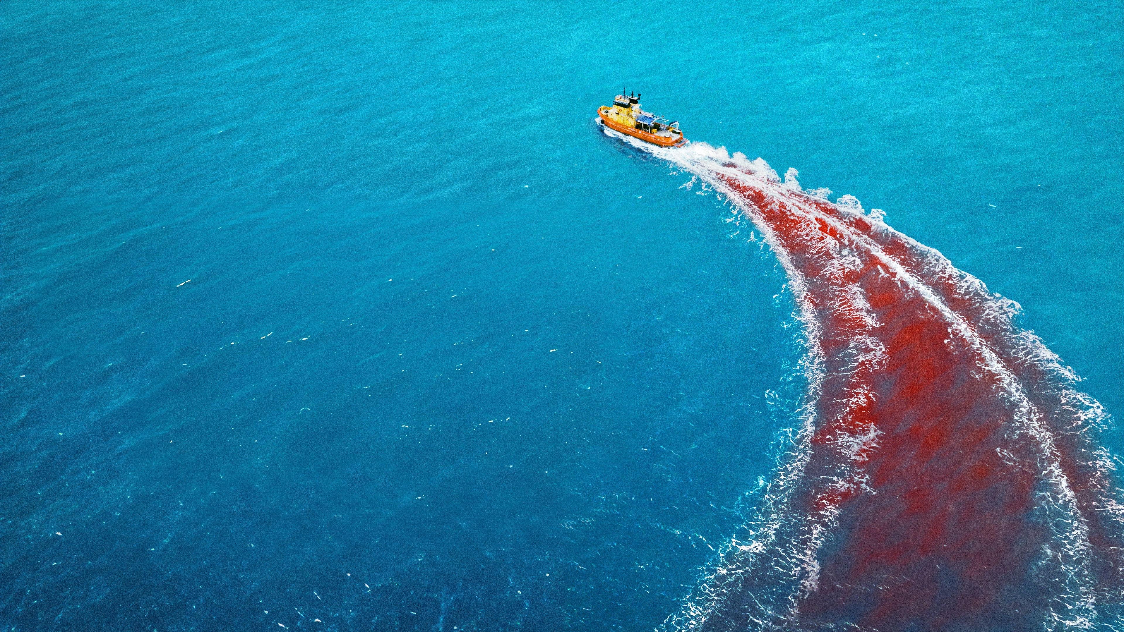 Niebezpieczne zwierzęta