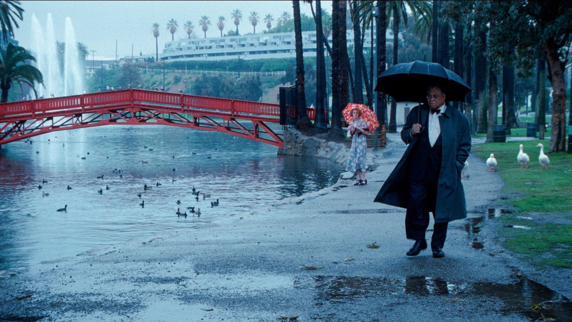 The Annihilation of Fish