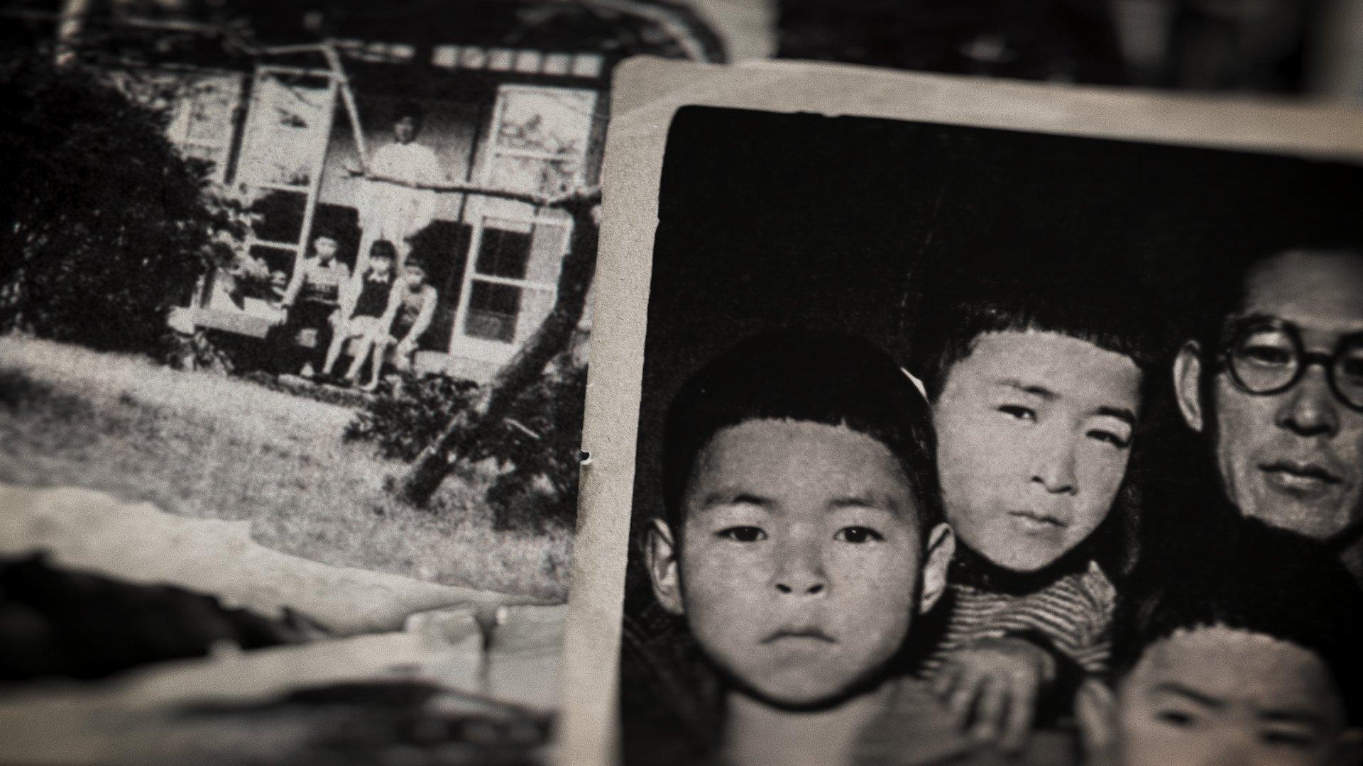 Miyazaki. Duch natury