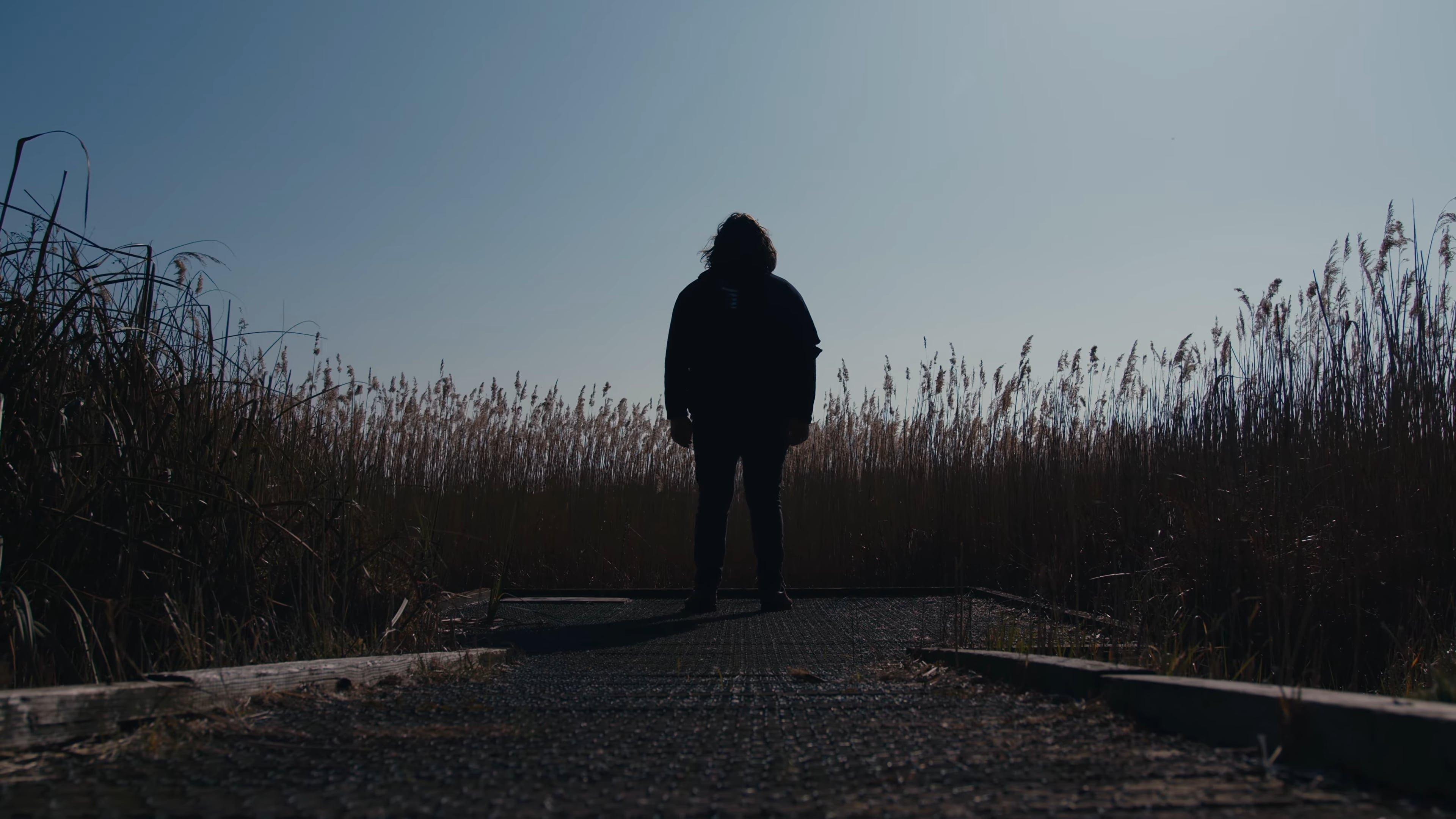 The Caricature: Requiem