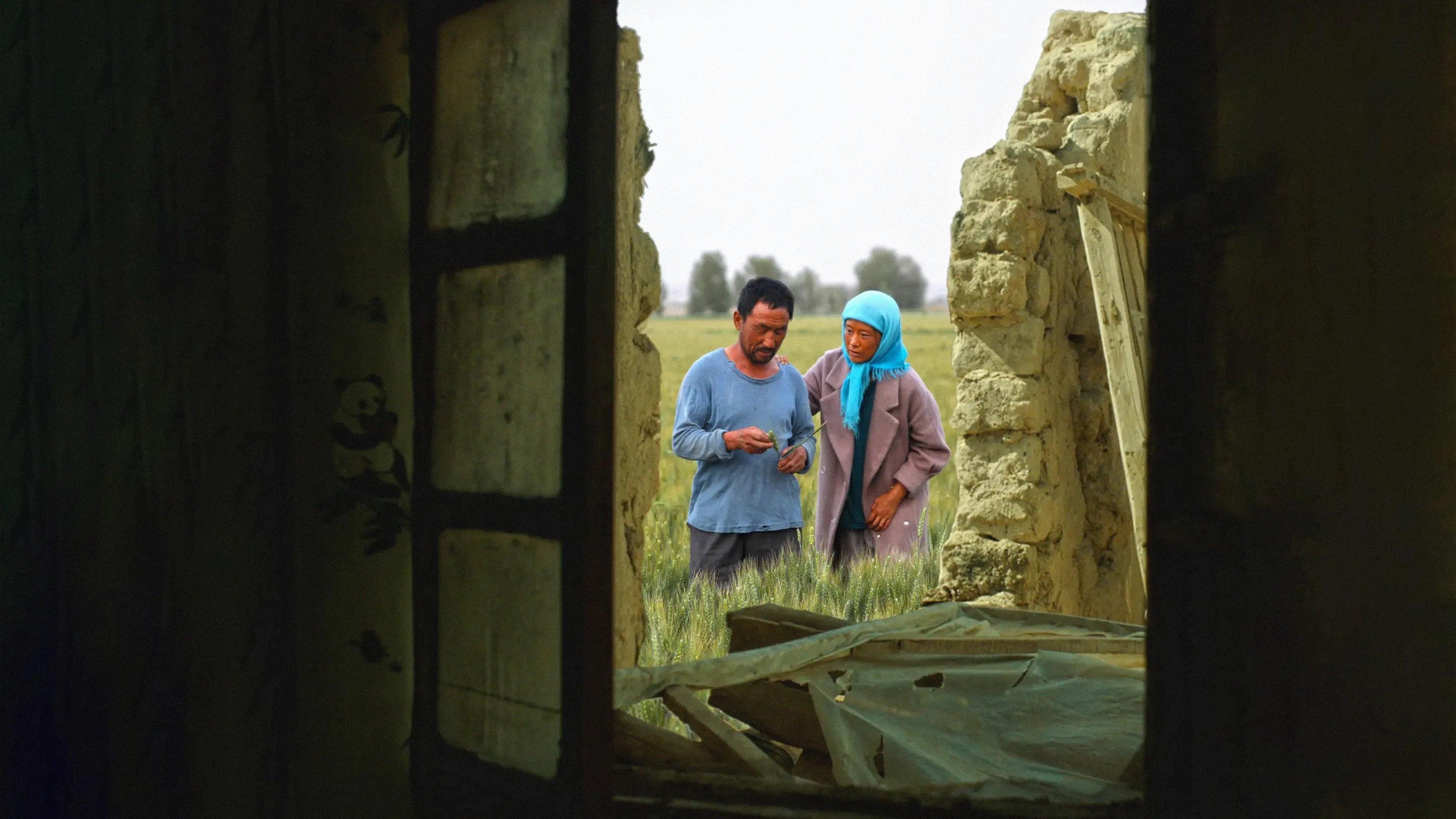 W proch się obrócisz